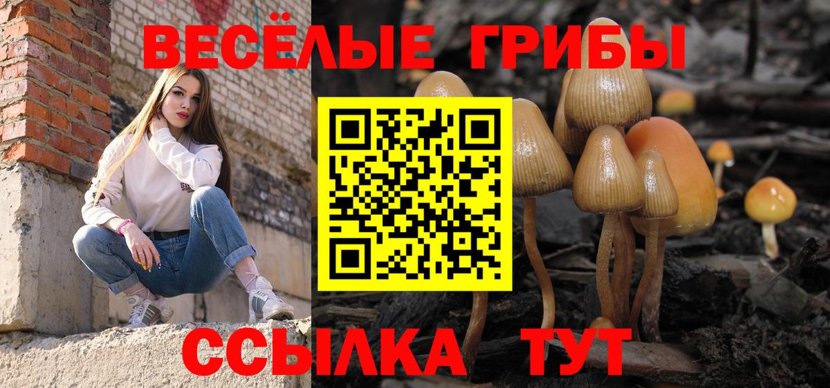 Псилоцибиновые грибы мицелий  Вход с VPN  Новосибирск 